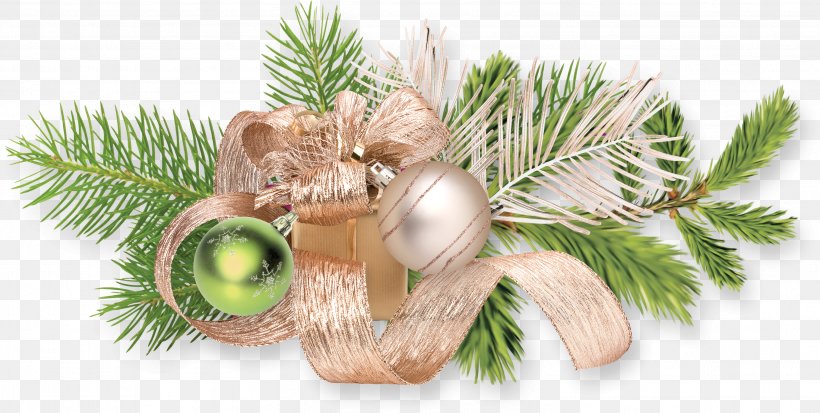 Christmas Ornament Christmas Day New Year Image, PNG, 3021x1525px, Christmas Ornament, Blog, Branch, Christmas Day, Christmas Decoration Download Free