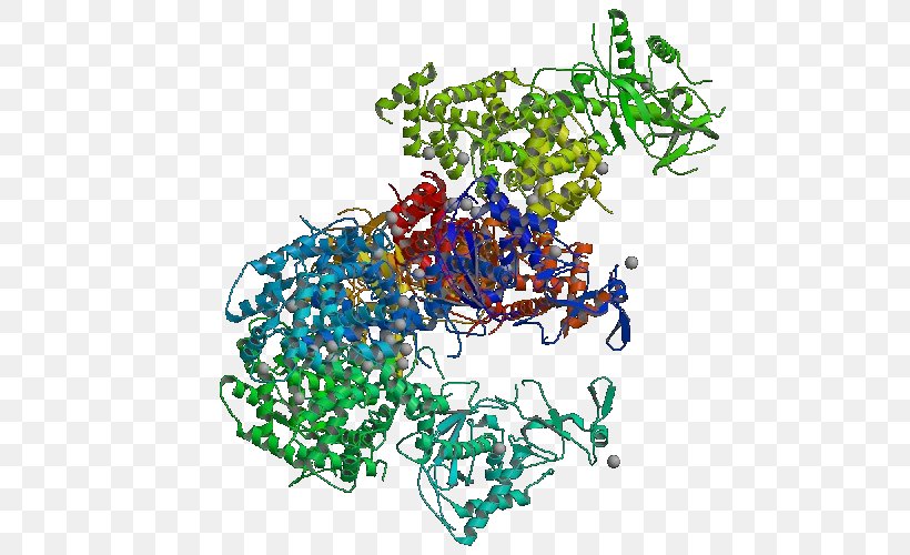 Dicer Ribonuclease Giardia Lamblia Small Interfering RNA Hydrolase, PNG, 500x500px, Dicer, Area, Catalisador, Chemical Reaction, Doublestranded Rna Viruses Download Free