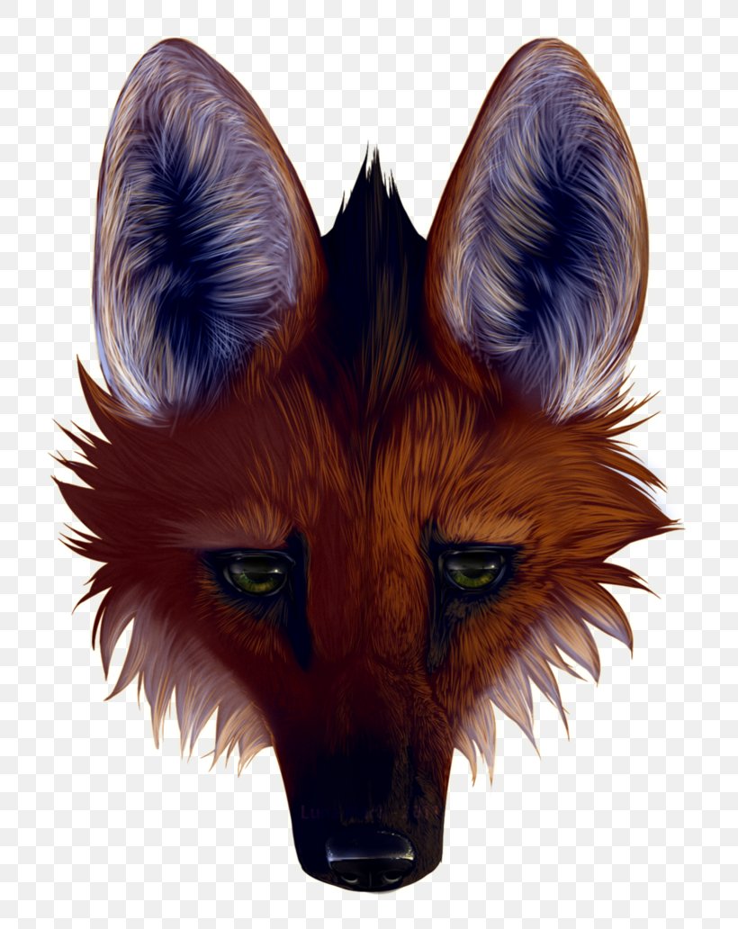 Red Fox Gray Wolf Maned Wolf Panthera Drawing, PNG, 774x1032px, Red Fox, Art, Canidae, Carnivoran, Chrysocyon Download Free