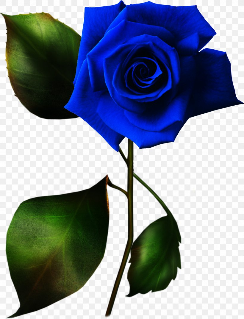 Rose Clip Art, PNG, 1195x1563px, Rose, Art, Blue, Blue Rose, Bud Download Free