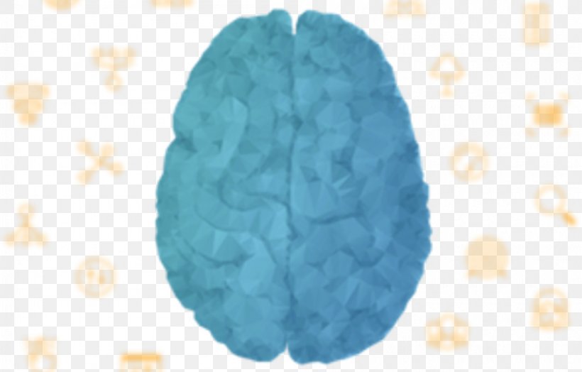 Brain Organism, PNG, 1000x640px, Brain, Organism, Turquoise Download Free