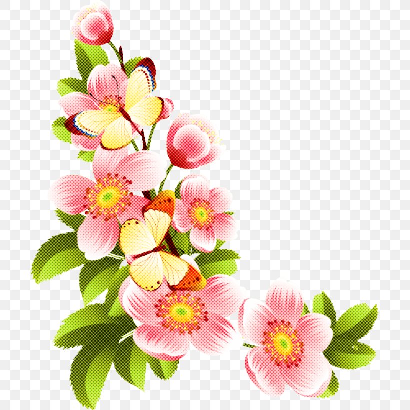 Flower Flowering Plant Petal Plant Pink, PNG, 696x819px, Flower, Blossom, Cut Flowers, Flowering Plant, Petal Download Free