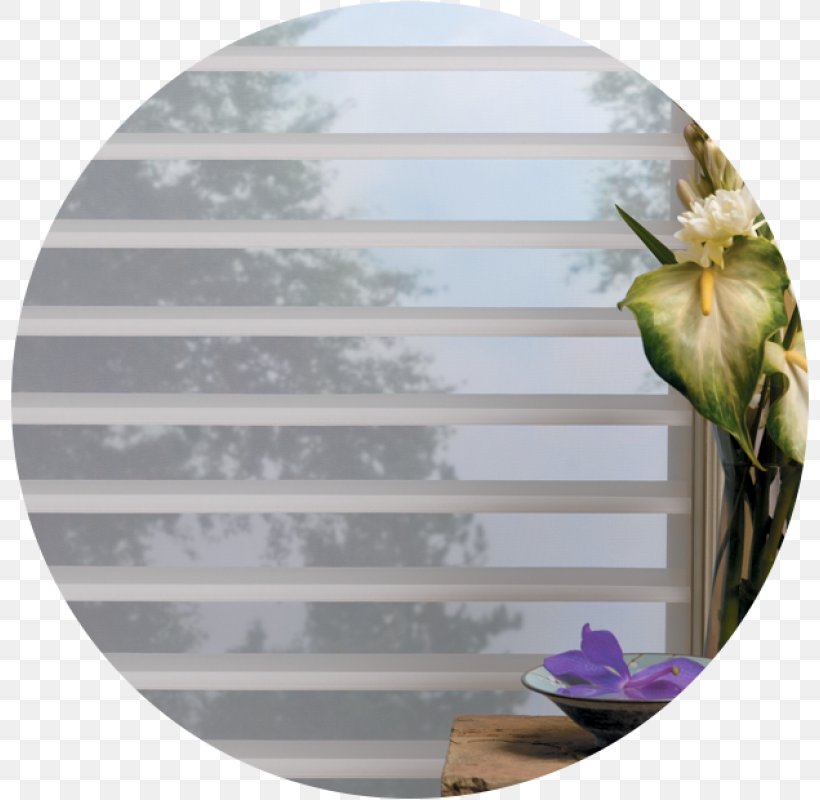 Window Blinds & Shades Window Treatment Hunter Douglas Window Covering, PNG, 800x800px, Window Blinds Shades, Curtain, Hunter Douglas, Interior Design Services, Purple Download Free