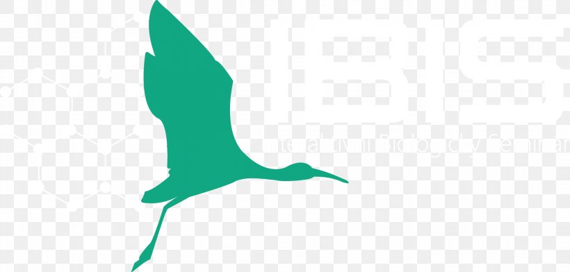 Beak Water Bird H&M Clip Art, PNG, 2106x1008px, Beak, Bird, Green, Hand, Logo Download Free