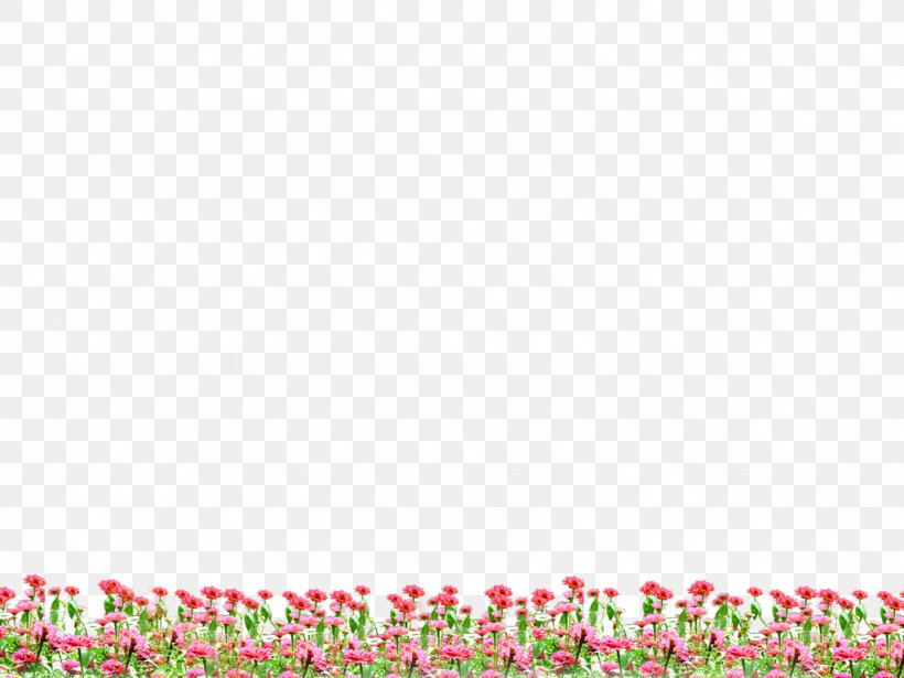 Flowering Plant Petal Cananga Odorata Magenta, PNG, 1024x768px, Flower, Border, Cananga Odorata, Chemical Reaction, Email Download Free
