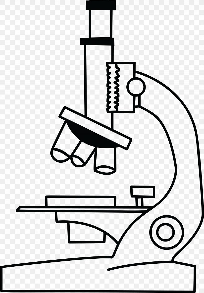 Microscope Drawing Black And White Clip Art, PNG, 4000x5748px