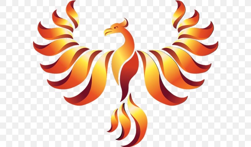 Phoenix Logo Rooster Simurgh, PNG, 606x480px, Phoenix, Battle Cry, Beak, Bird, Chicken Download Free