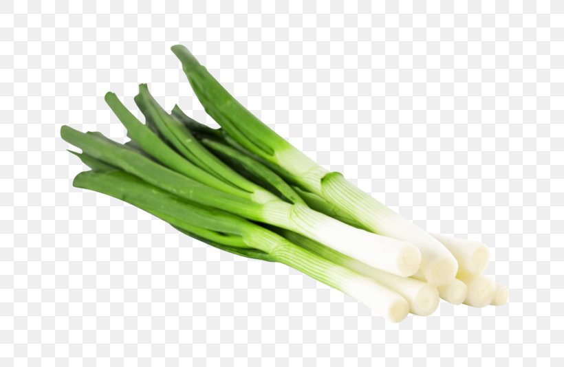 Scallion Spanish Onions Vegetable Welsh Onion Stock Photography, PNG, 800x534px, Scallion, Allium, Amaryllis Family, Asparagus, Chives Download Free