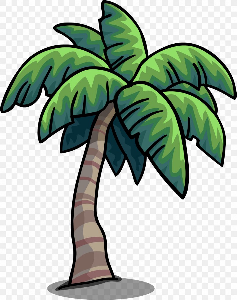 Arecaceae Tree Desktop Wallpaper Clip Art, PNG, 1788x2265px, Arecaceae, Archontophoenix Cunninghamiana, Areca Palm, Coconut, Flowering Plant Download Free