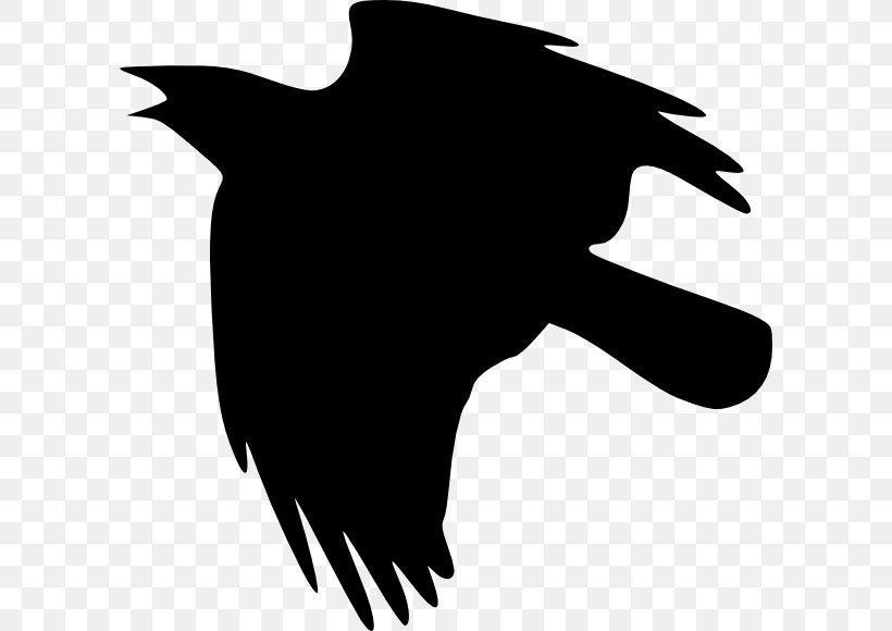 Crows Clip Art, PNG, 600x580px, Crows, Beak, Bird, Black, Black And White Download Free