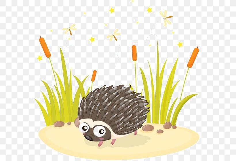 Hedgehog Drawing Illustration, PNG, 600x560px, Hedgehog, Cartoon, Commodity, Drawing, Erinaceidae Download Free