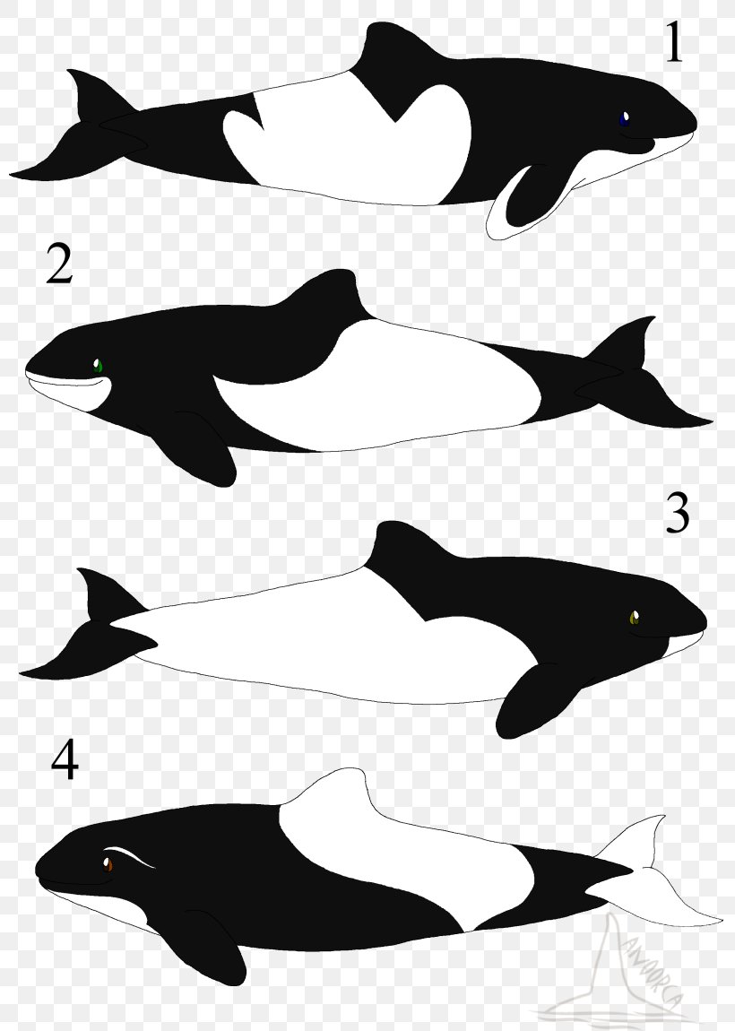 Tucuxi Porpoise Killer Whale Dolphin, PNG, 800x1150px, Tucuxi, Beak, Black And White, Dolphin, Fauna Download Free