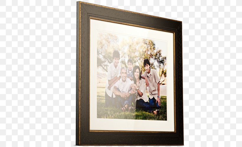 White House Custom Colour Photography Painting Image Picture Frames, PNG, 616x500px, White House Custom Colour, Art, Flower, Painting, Photography Download Free