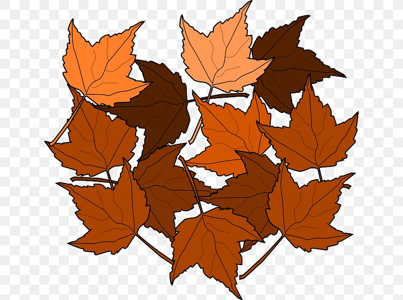Autumn Leaf Color Maple Leaf Clip Art, PNG, 640x611px, Leaf, Animation, Autumn, Autumn Leaf Color, Branch Download Free