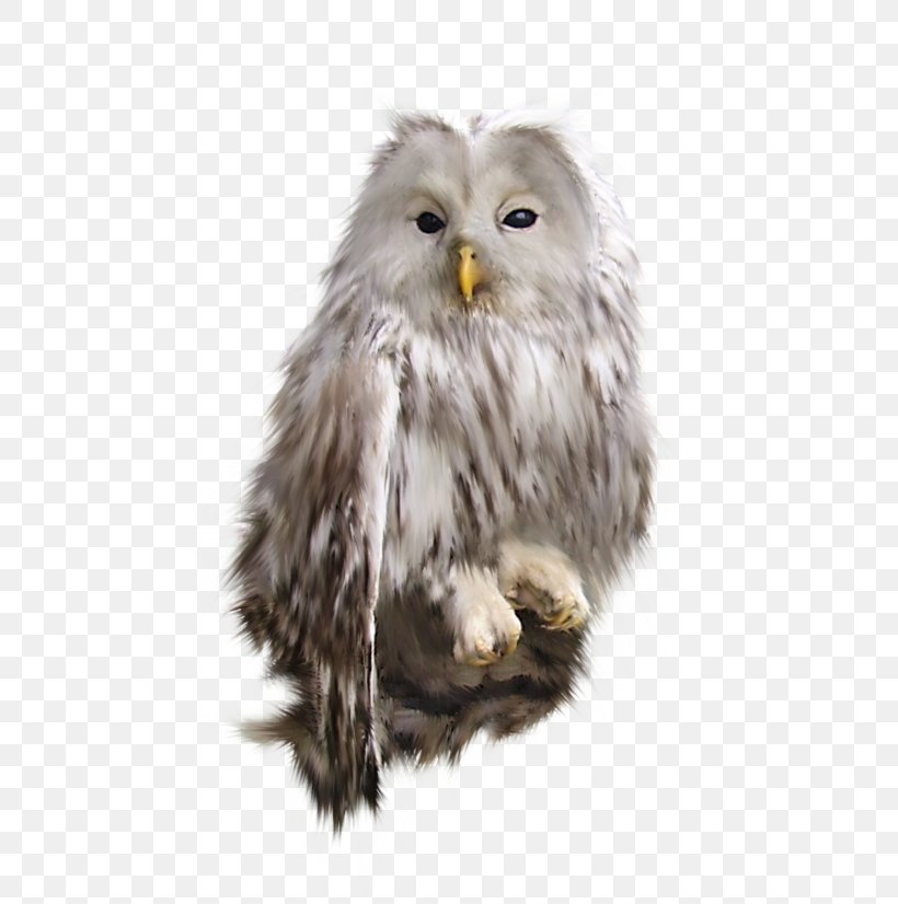 Owl Bird Clip Art, PNG, 500x826px, Owl, Beak, Bird, Bird Of Prey, Blog Download Free