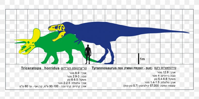 Tyrannosaurus Triceratops Gorgosaurus Spinosaurus Mapusaurus, PNG, 2000x1000px, Tyrannosaurus, Area, Armour, Beak, Brand Download Free