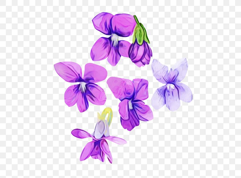 Violet Flower Purple Petal Plant, PNG, 600x607px, Watercolor, Flower, Flowering Plant, Lilac, Paint Download Free