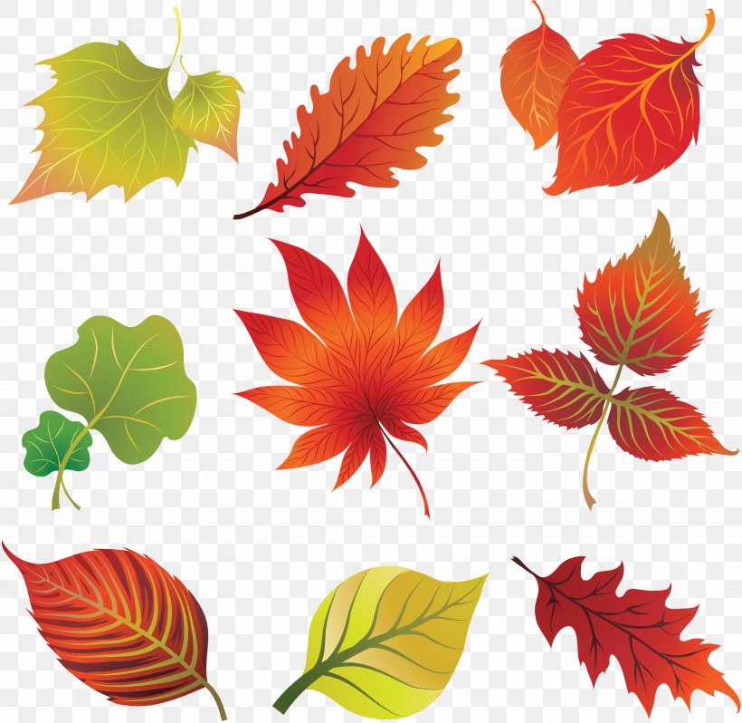 Autumn Leaf Color Art Clip Art, PNG, 4944x4812px, Autumn, Art, Autumn Leaf Color, Drawing, Flower Download Free