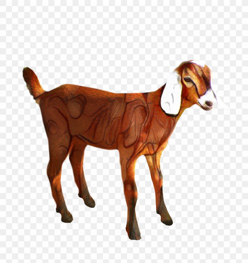 Clip Art Transparency Sheep Boer Goat, PNG, 2651x2820px, Sheep, Animal Figure, Boer Goat, Bovidae, Cowgoat Family Download Free