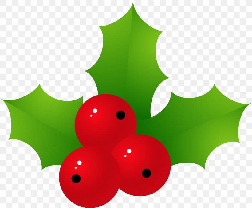 Holly Christmas Ornament Green Leaf, PNG, 4035x3335px, Holly, Aquifoliaceae, Aquifoliales, Christmas, Christmas Ornament Download Free