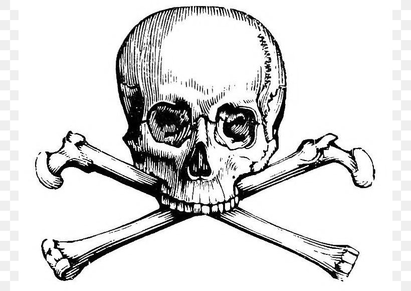 Skull And Bones Skull And Crossbones Human Skull Symbolism Calavera, PNG, 746x580px, Skull And Bones, Art, Artwork, Black And White, Bone Download Free