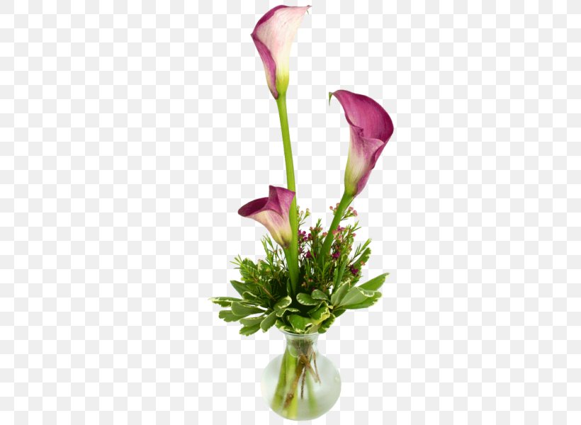 Arum-lily Floral Design Cut Flowers Lilium, PNG, 600x600px, Arumlily, Artificial Flower, Bog Arum, Bud, Calla Lily Download Free