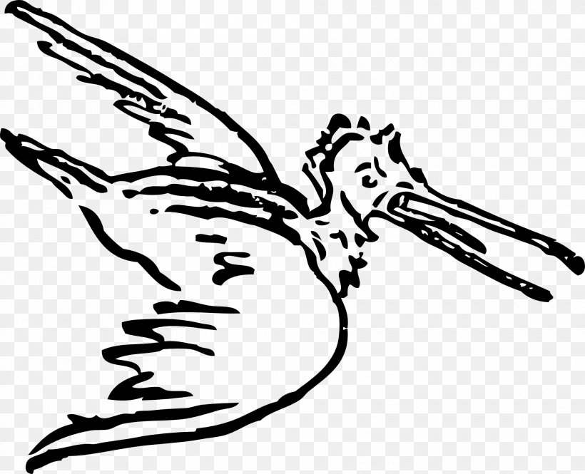 Bird Flight Pelican Clip Art, PNG, 1920x1559px, Bird, Animation, Art, Artwork, Beak Download Free