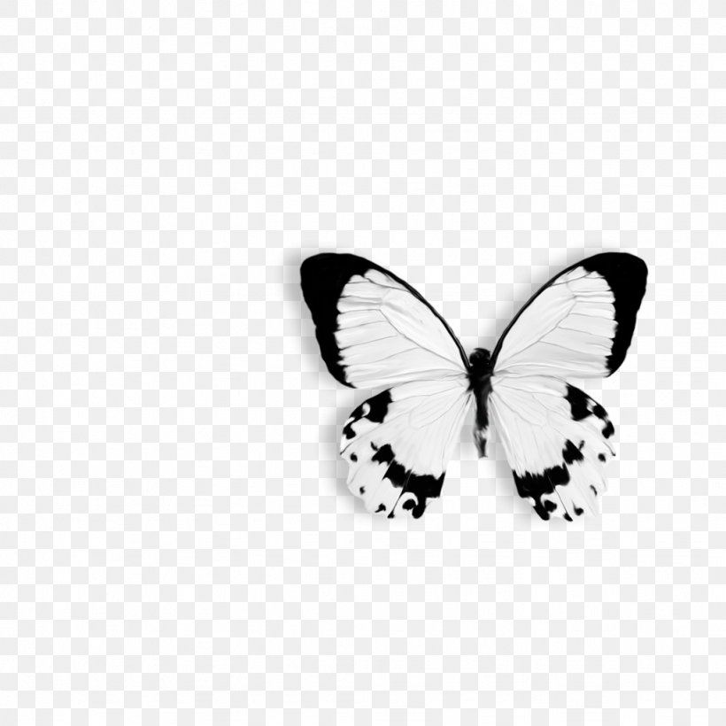 Butterfly Papilio Dardanus Drawing Black And White Clip Art, PNG, 1024x1024px, Butterfly, Animal, Arthropod, Black And White, Black Butterfly Download Free