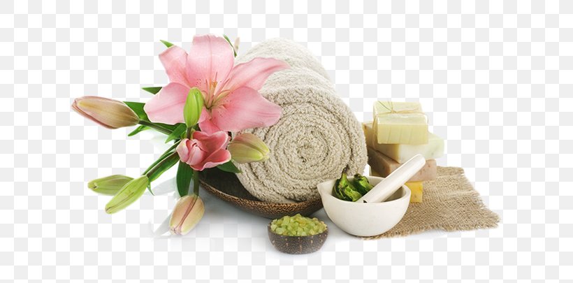 Day Spa Beauty Parlour Waxing Facial, PNG, 619x405px, Spa, Beauty Parlour, Cosmetics, Cut Flowers, Day Spa Download Free