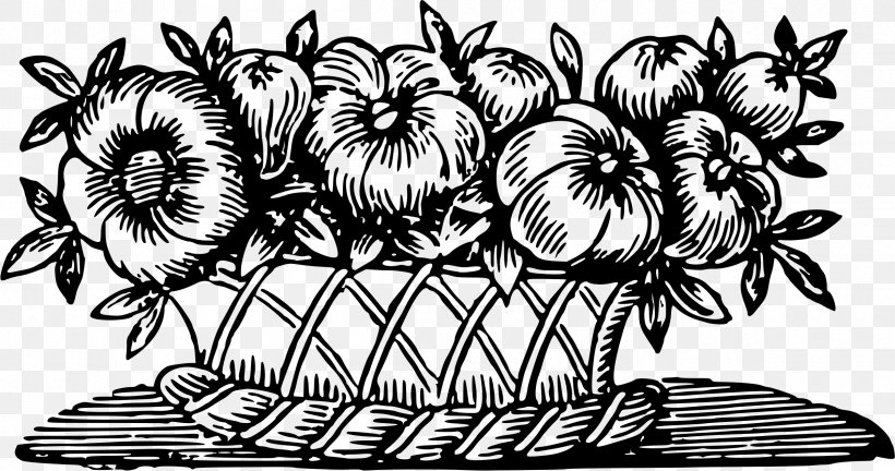 Flower Drawing Black And White Basket Clip Art, PNG, 2400x1267px, Flower, Art, Basket, Black And White, Drawing Download Free