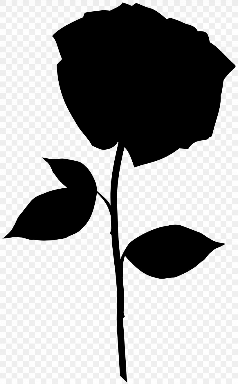 Flower Plant Stem Clip Art Leaf Love, PNG, 3729x6000px, Flower, Black, Black M, Blackandwhite, Botany Download Free