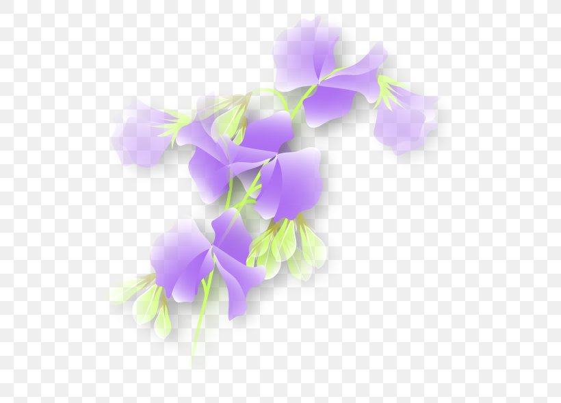 Sweet Pea Purple Plant Stem Violet, PNG, 564x589px, Sweet Pea, Flora, Flower, Flowering Plant, Lilac Download Free