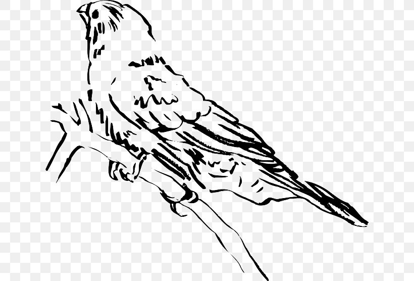 Beak Bird Lark Clip Art, PNG, 640x556px, Beak, Art, Artwork, Bird, Bird Feeders Download Free