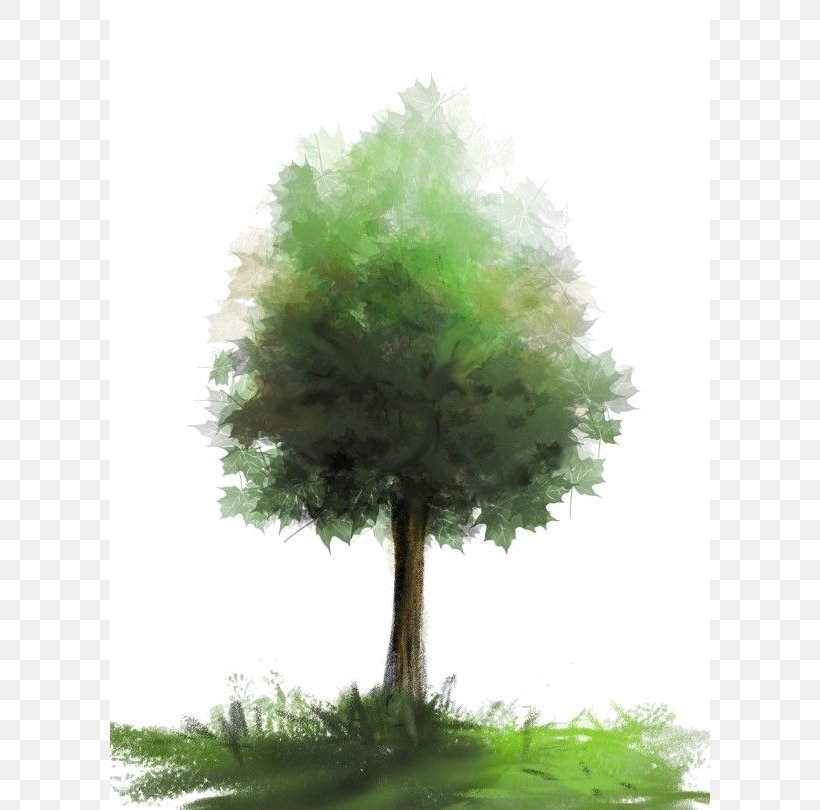 Brush Tree Watercolor Painting, PNG, 600x810px, Brush, Arecaceae, Color, Conifer, Drawing Download Free