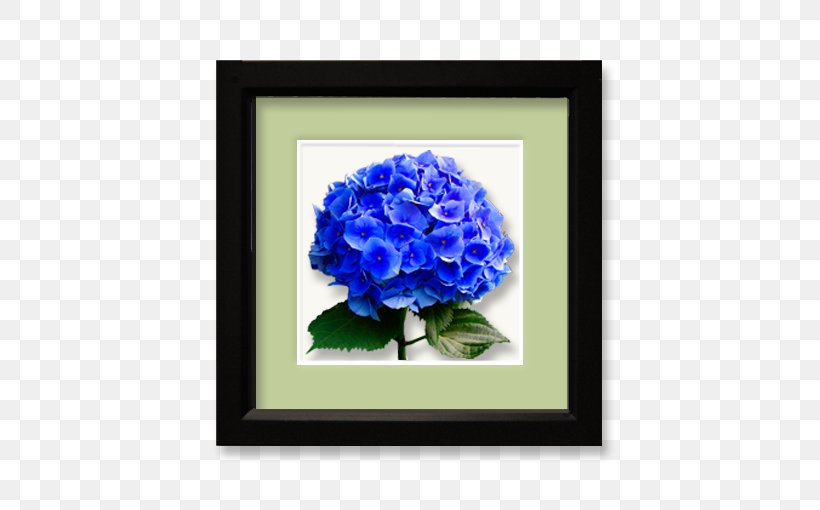 Hydrangea Cut Flowers Blue Rose, PNG, 510x510px, Hydrangea, Blue, Blue Rose, Cobalt Blue, Cornales Download Free