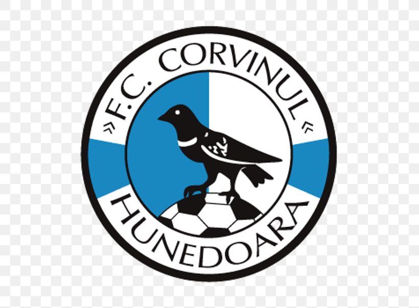 Stadionul Michael Klein FC Corvinul Hunedoara SC Corvinul 2005 Hunedoara Liga I Football, PNG, 603x603px, Liga I, Area, Beak, Bird, Brand Download Free