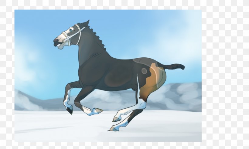 Stallion Mustang Mare Halter Rein, PNG, 1024x614px, Stallion, Bridle, Halter, Horse, Horse Like Mammal Download Free