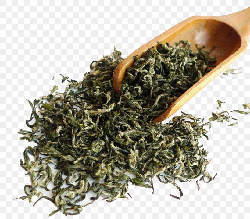 Tea Gyokuro Baihao Yinzhen Keemun, PNG, 1000x878px, Tea, Assam Tea, Bai Mudan, Baihao Yinzhen, Bancha Download Free