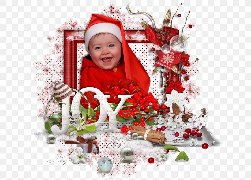Christmas Ornament Christmas Day Flower Infant, PNG, 653x588px, Christmas Ornament, Christmas, Christmas Day, Christmas Decoration, Flower Download Free
