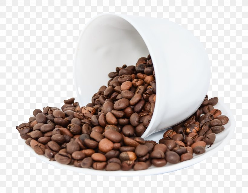 Coffee Bean Espresso Cappuccino Tea, PNG, 1950x1520px, Coffee, Bean, Burr Mill, Cafe, Cappuccino Download Free