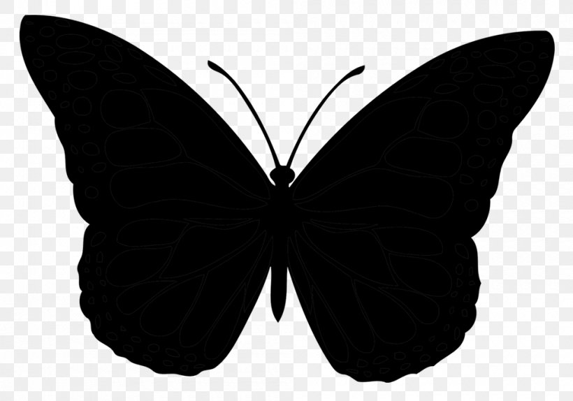Brush-footed Butterflies Vector Graphics Illustration Stock Photography Euclidean Vector, PNG, 1000x700px, Brushfooted Butterflies, Black, Blackandwhite, Brushfooted Butterfly, Butterfly Download Free