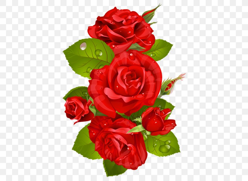 Garden Roses Clip Art, PNG, 432x600px, Rose, Artificial Flower, Blue Rose, Color, Cut Flowers Download Free