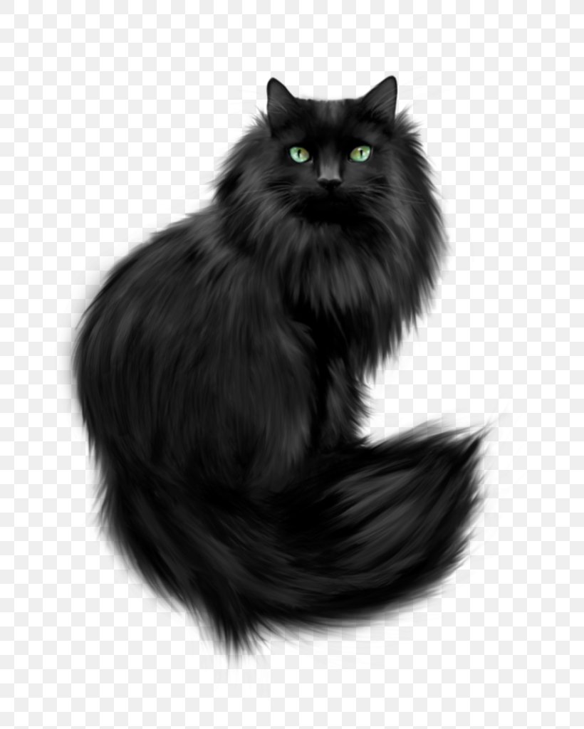 Kitten Cat Clip Art Image Greeting & Note Cards, PNG, 800x1024px, Kitten, Asian Semi Longhair, Birthday, Black, Black And White Download Free