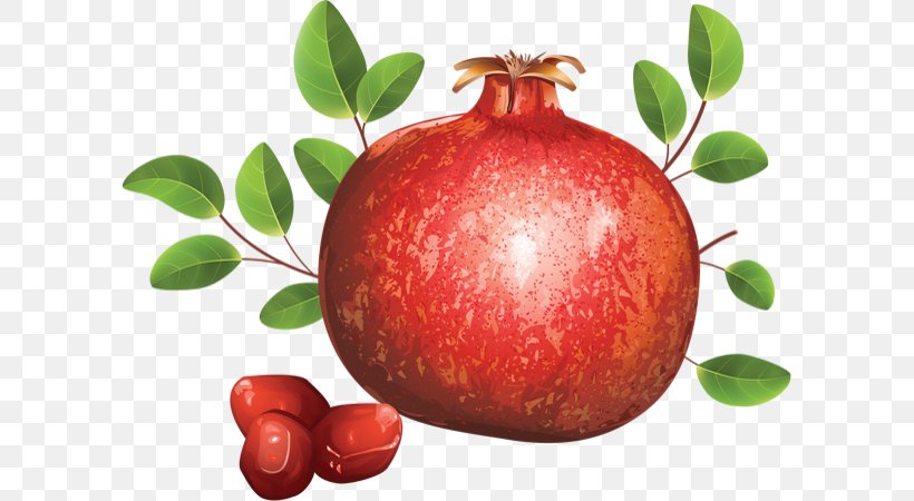 Pomegranate Juice Accessory Fruit, PNG, 600x450px, Pomegranate, Accessory Fruit, Apple, Auglis, Cranberry Download Free
