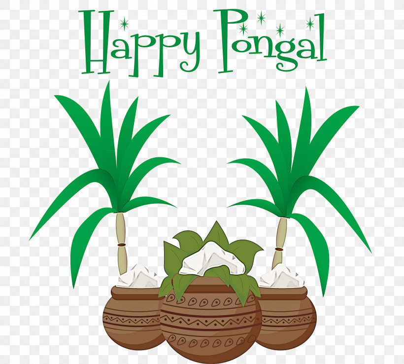 Pongal Thai Pongal Harvest Festival, PNG, 3000x2701px, Pongal, Areca Palm, Branch, Coconut, Drawing Download Free