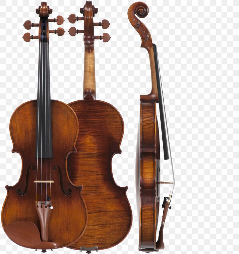 Violin Family Stradivarius Musical Instruments Cello, PNG, 848x900px, Violin, Amati, Antonio Stradivari, Bass Guitar, Bass Violin Download Free