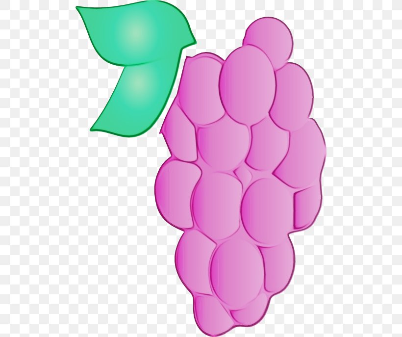 Grape Grapevine Family Clip Art Pink Vitis, PNG, 512x687px, Watercolor, Fruit, Grape, Grapevine Family, Magenta Download Free