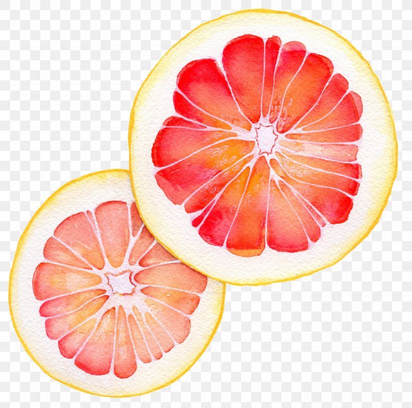 Grapefruit Juice Vegetarian Cuisine Pomelo Blood Orange, PNG, 2824x2799px, Grapefruit Juice, Art, Blood Orange, Citrus, Color Download Free