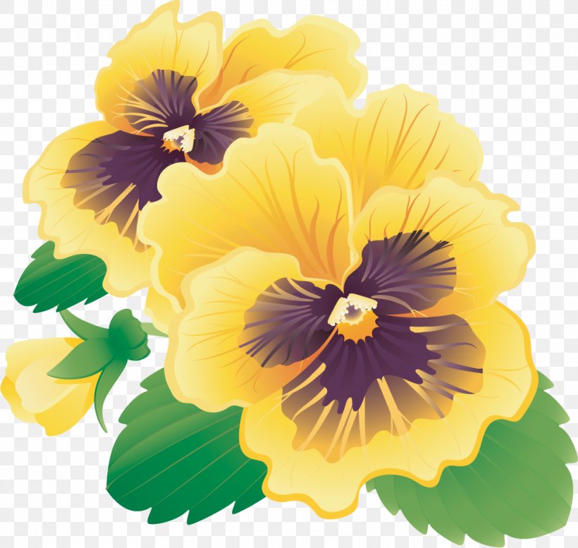 Pansy Clip Art, PNG, 986x935px, Pansy, Annual Plant, Baner, Drawing, Flower Download Free