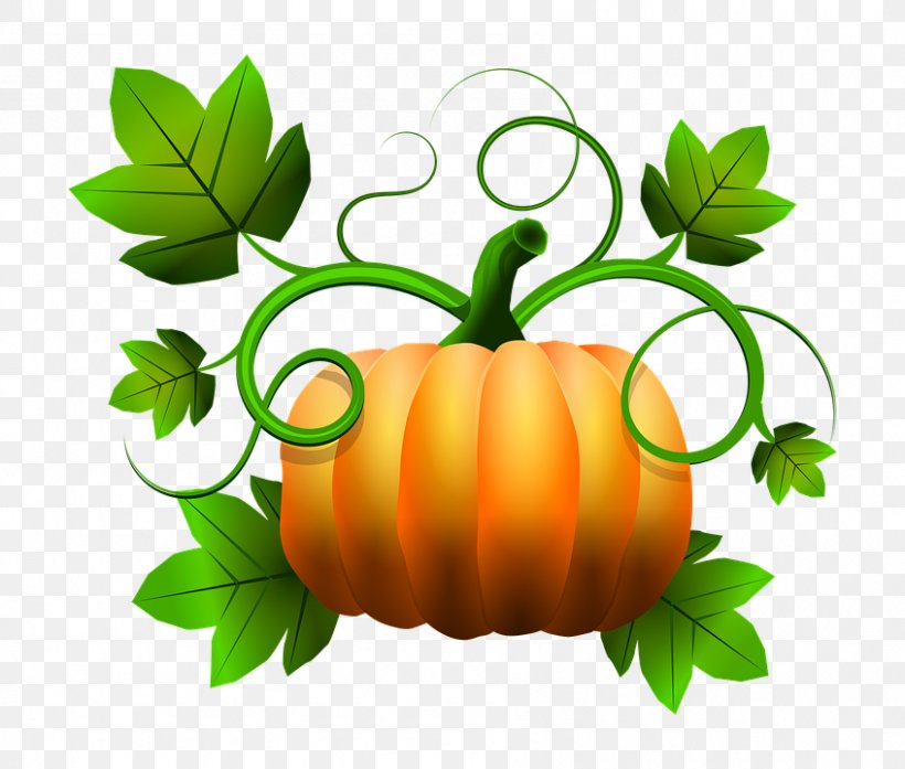 Pumpkin Calabaza Gourd Food Clip Art, PNG, 847x720px, Pumpkin, Calabaza, Commodity, Cucumber Gourd And Melon Family, Cucurbita Download Free